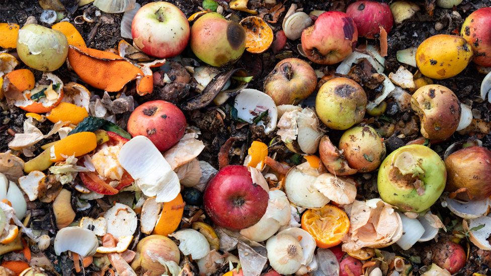 Global Food Waste Statistics