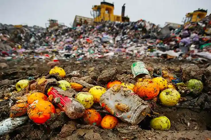 Global Food Waste Impacts