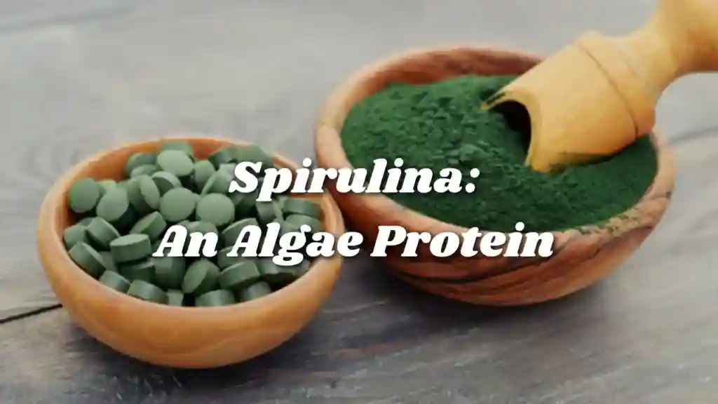 Spirulina-An-Algae-Protein-4-1024x576
