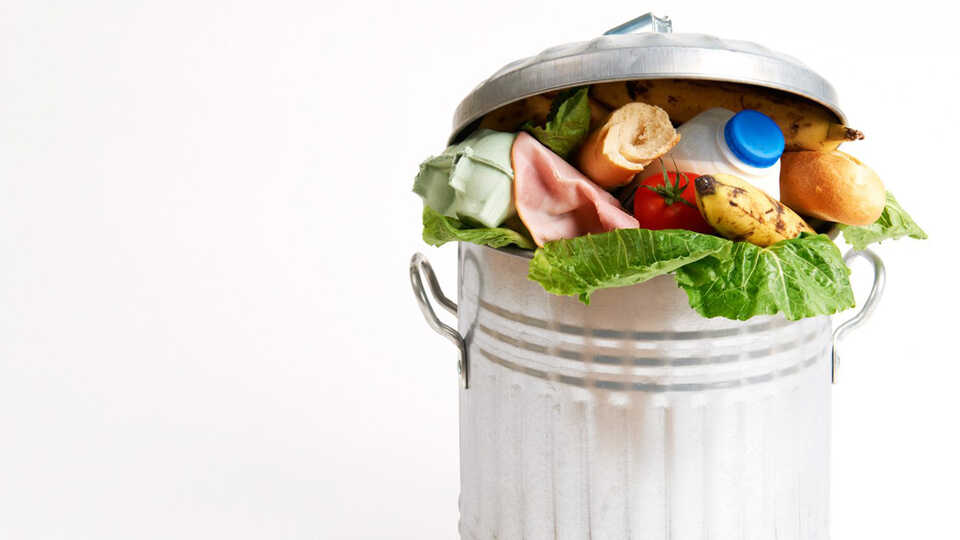 Global Food Waste Statistics