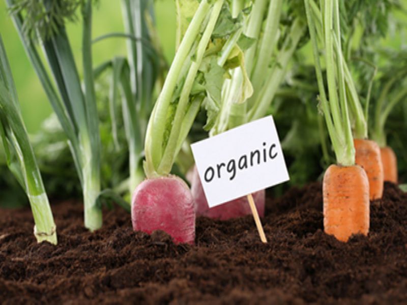 Organic Farming