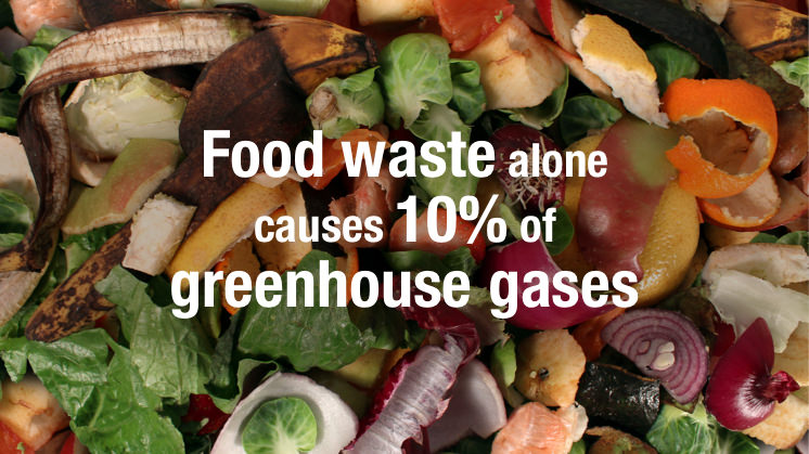 food waste is a problem