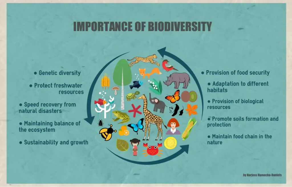 Importance of Biodiversity