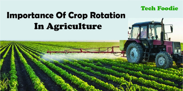 Importance Of Crop Rotation In Agriculture – Tech Foodie