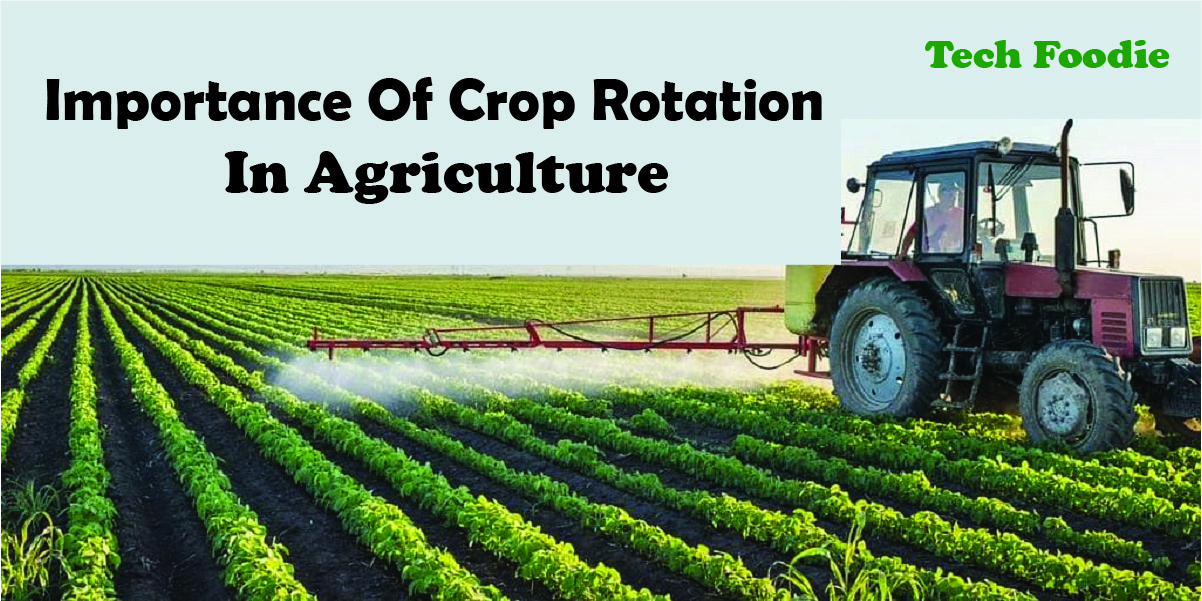 Crop Rotation