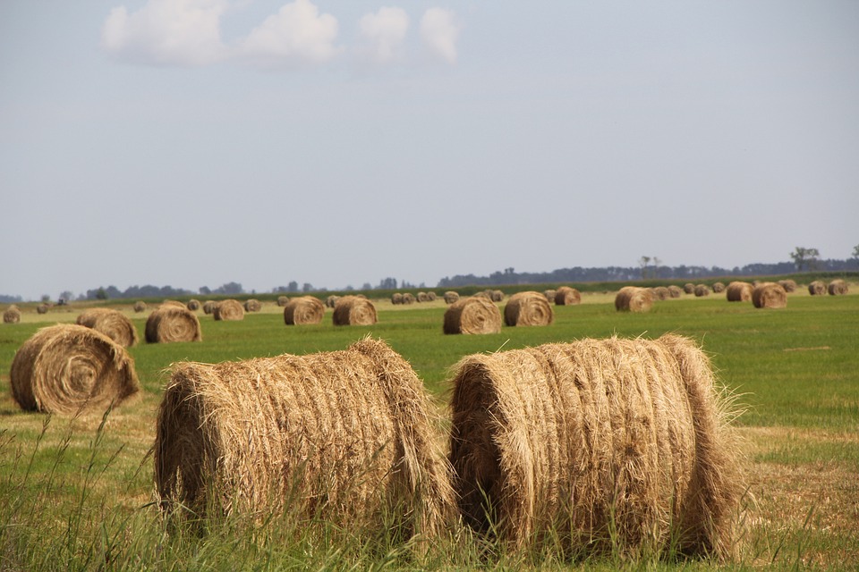 how does climate affect agriculture