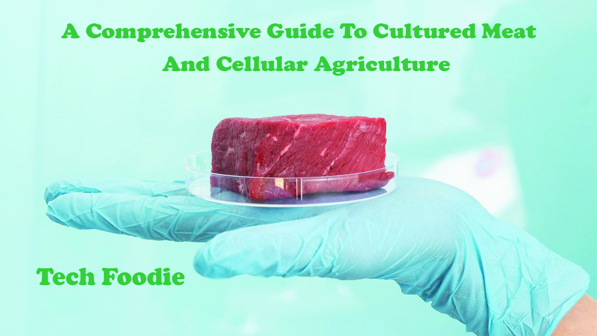 Cultured Meat And Cellular Agriculture