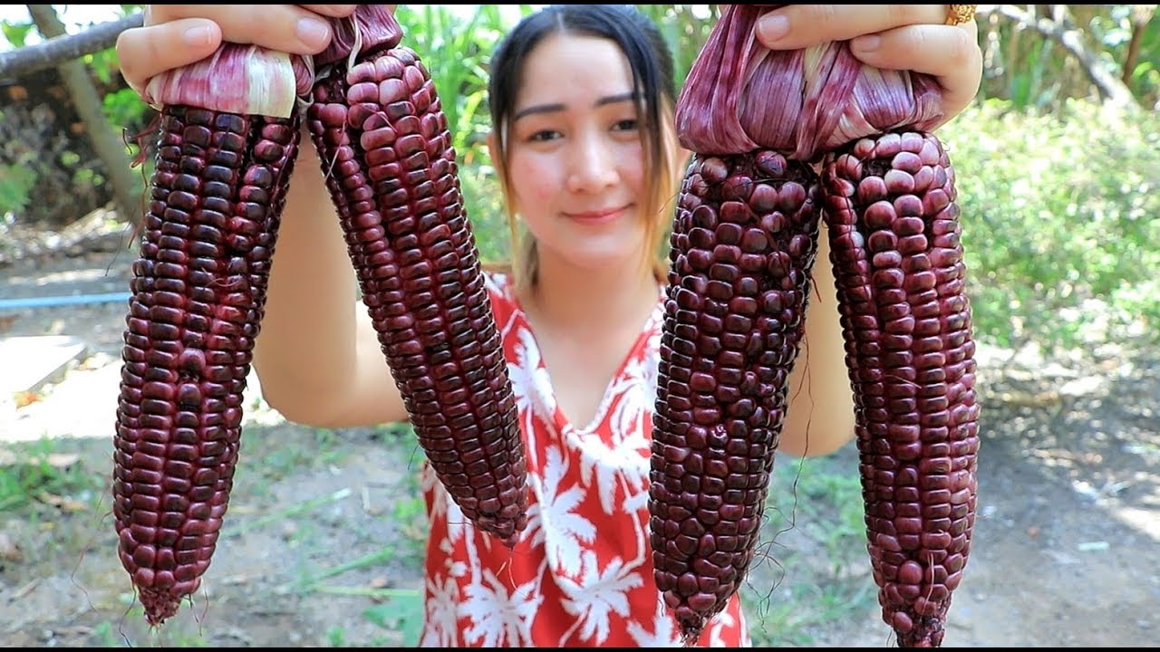 Purple Corn