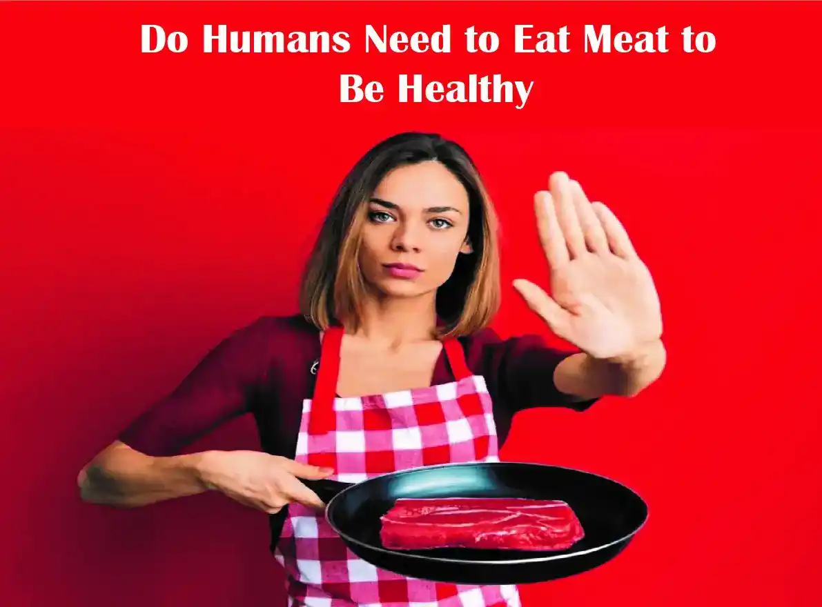 Do Humans Need to Eat Meat to Be Healthy? Tech Foodie