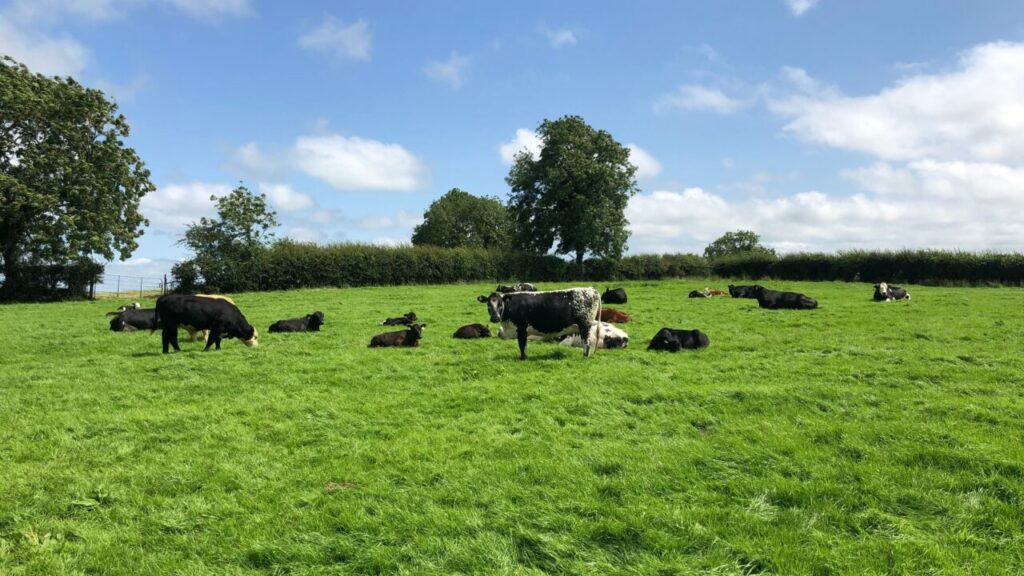 Restore Nature On Farmland