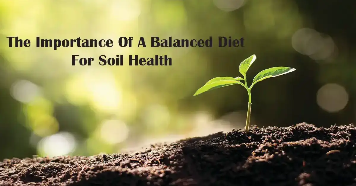 The Importance of a Balanced Diet for Soil Health | Tech Foodie