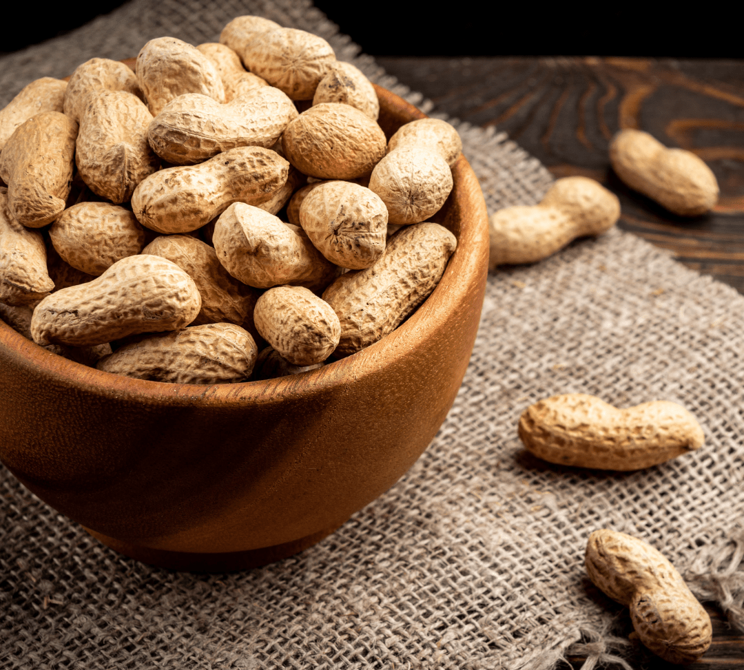 Everything You Need To Know About Monkey Nuts